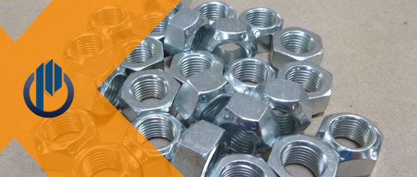 DUPLEX STEEL NUT SUPPLIER IN INDIA